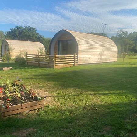 Beech Pod Cabin In Beautiful Surroundings Wrexham Exterior foto